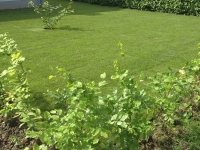 garten10