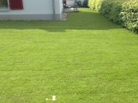 garten11