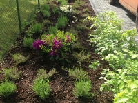 garten12