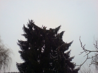 sonstiges01