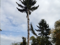 sonstiges02